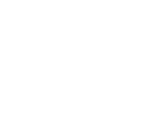 Noeliz Construction Service - Logo-white